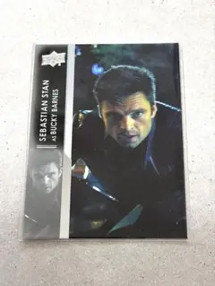 2025年最新】バッキー フォトカードの人気アイテム - メルカリ