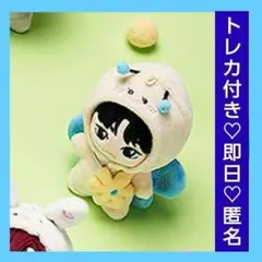 TREASURE トレジャー ドール ぬいぐるみ ハルト HAPE] TREASURE PLUSH DOLL - YG SELECT