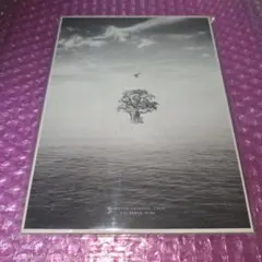 『BIRD』CD+DVD EXO トレカなし