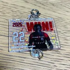 北海道コンサドーレ札幌　WINNNG連結チャーム　キングロード・サフォ