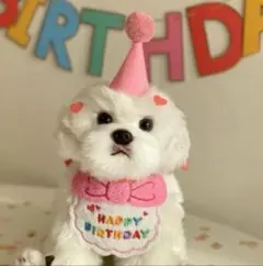 Item thumbnail for item 64a8948c-1067-4d60-8555-10ff9a0d811d