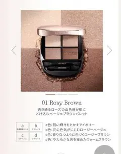 コスメデコルテ　スキンシャドウデザイニングパレット 01 Rosy Brown