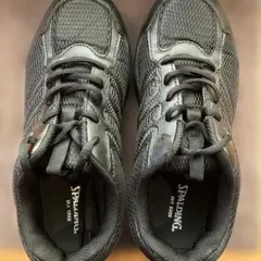 SPALDING(スポルディング) スニーカー 撥水 25.5 4E 黒のサムネイル