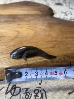 古美術 古銅 文鎮 ナマズ 厚重 細工 鯰魚 置物 アンティーク 茶道5.5cm