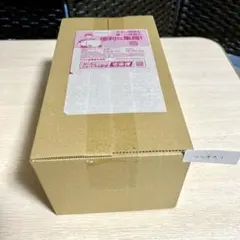 【新品未開封品】ポケモンセンター スペシャルボックス フクオカ① ポケカ