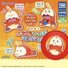 ポケモン ホゲータいっぱいコレクション こまった