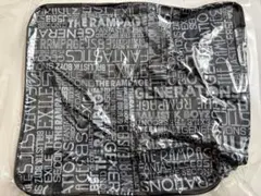 【LDH】EXILE TRIBE FAMILY FC特典 バック