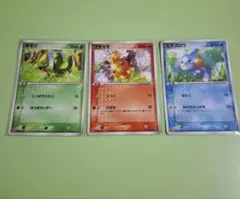 キモリ アチャモ ミズゴロウ Mcdonald's PROMOプロモ3枚セット