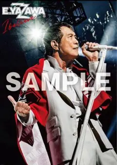 矢沢永吉ポスター ミュージシャン