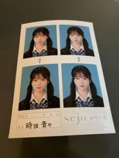 seju セジュ 証明写真 時田音々 ときねね - メルカリ
