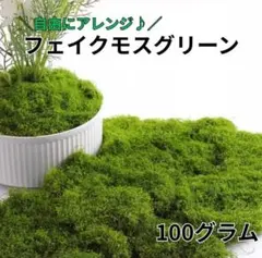 １００ｇ フェイクモスグリーン 人工苔 ジオラマ 模型　人工観葉　花　芝生 室内のサムネイル