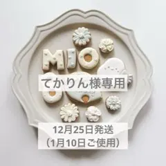 てかりん様専用⭐︎シマエナガバースデーセット