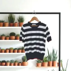 美品☆【ZARA】 ボーダー 半袖ニット Sサイズ ☆未使用
