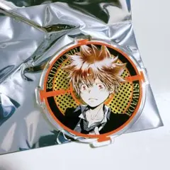 沢田綱吉 アクリルバッジ 新品】 REBORN アクリルバッジコレクション 第1弾 沢田綱吉 ツナ