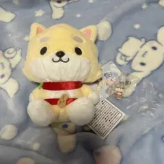 JOCHUM まめちぃ ふわくた ぬいぐるみ マスコット 豆原一成 サンリオ