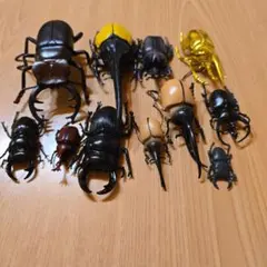 カブトムシフィギュア 11体セット