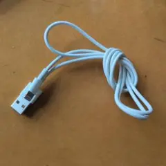 Apple Lightningケーブル USB-A ホワイト