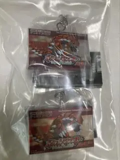 ２個セット　ポケモン パッケージ＆ゲームカードキーホルダーコレクション ルビーのサムネイル