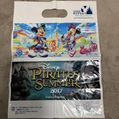 東京ディズニーリゾート ショップ袋 2017年