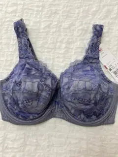 新品　ワコール　ラゼ　BFA311　ブラジャー　D75