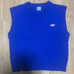 VISION STREET WEAR Vネックニット LL 青