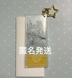 鬼滅の刃　ダイニング　ヒロマ　3周年記念チャーム　善逸　伊之助 hiroma