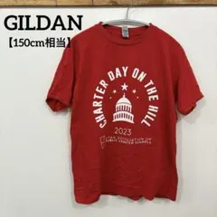 GILDAN【150】チャーターデイオンザヒル 2023 半袖Tシャツ　赤
