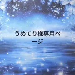 うめてり様 リクエスト 2点 まとめ商品