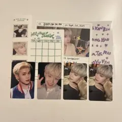 Never say Never テレ デジパ トレカ まとめ売り