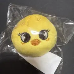 フィリックス アイドル