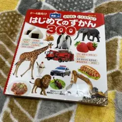 BCキッズ おなまえ いえるかな? はじめてのずかん300 英語つき