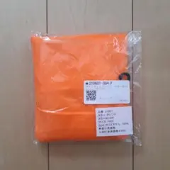 Item thumbnail for item 254562b9-4f1b-4565-8fed-2e800741201c