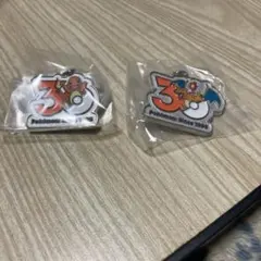 ポケモン30周年 メタルチャームマスコット めじるしアクセサリー リザードン