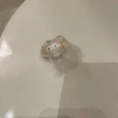 TWICE LOVELYS × SANRIO マスコットチャーム