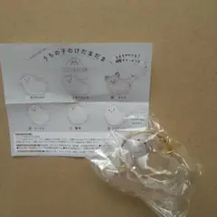 【匿名配送】 犬のけだまだま うちの子のけだまだま 三角たれみみ