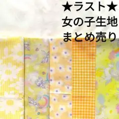 【ラスト】生地 黄色 ユニコーン ゆめかわ 花柄 ギンガムチェック はぎれセット