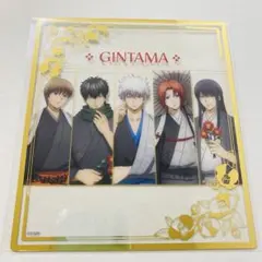 Item thumbnail for item 145ea5c8-14b7-442a-9e3f-a77253f0504c