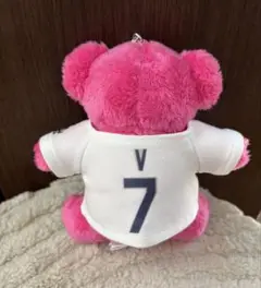 BTS テテ FRI(END)S Bear くま キーリング 服 始球式