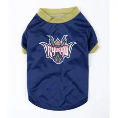 Item thumbnail for item ecdfd455-9d54-4553-a8ba-715bf4ece3fb