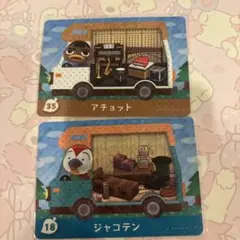 どうぶつの森　アチョット　じゃこてん　アミーボ