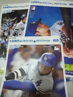 Item thumbnail for item 5c31f8d7-f32f-4da5-bf9d-b9f1a55ab49d