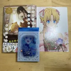 ある日、お姫様になってしまった件について 12巻 漫画 アニメイト　特典