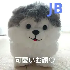 モフまる ぬいぐるみ グレー×ホワイト　JB