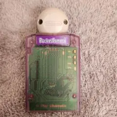 Pocket Camera ゲームボーイ用　ポケットカメラ　ジャンク