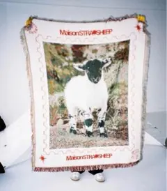 2025年最新】Strays rugの人気アイテム - メルカリ