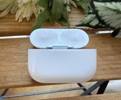 Apple AirPodsPro 第一世代充電ケースMWP22J/A A2190