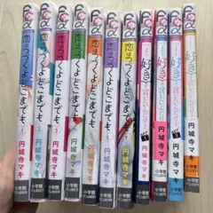 恋はつづくよどこまでも 、つまり好きって言いたいんだけど、　全巻11冊