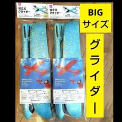 2025年最新】組立式グライダーの人気アイテム - メルカリ