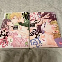 輩と鈍感 上 下巻セット　ティーンズラブ