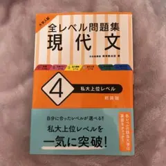 大学入試 全レベル問題集 現代文 4 私大上位レベル